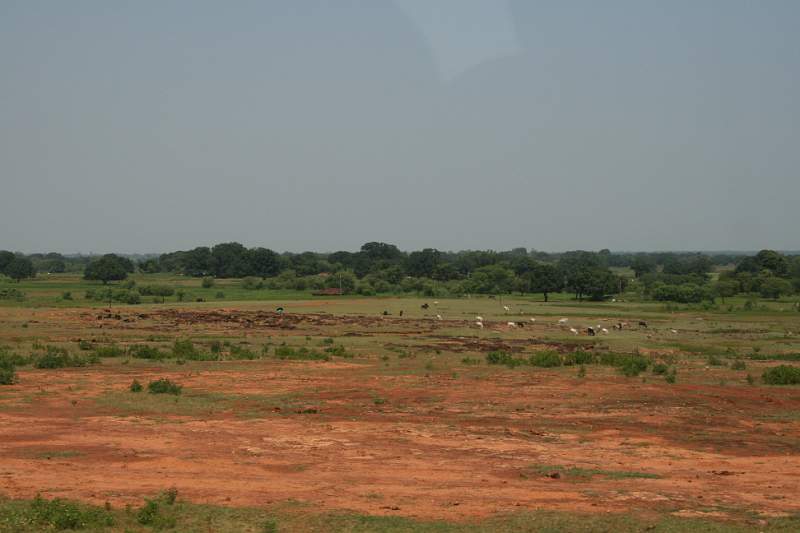 India & Nepal 2011 - 0865